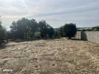 RECO , teren intravilan, Ineu,Bihor
