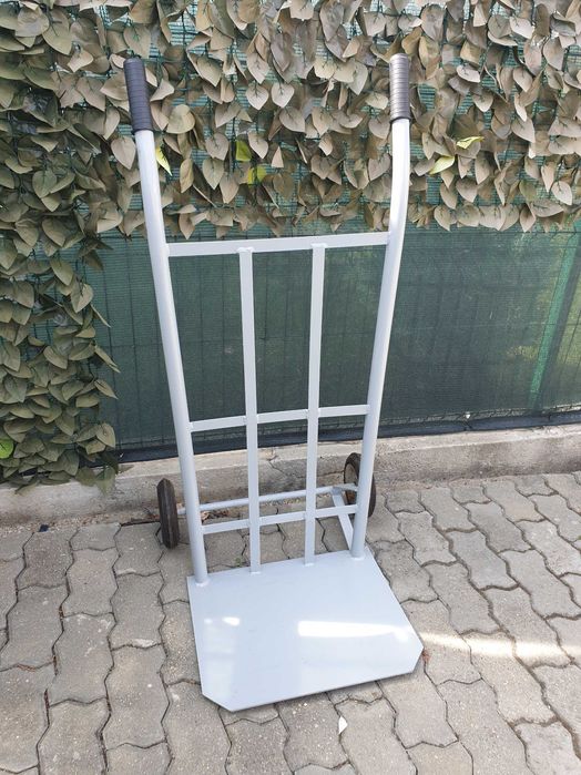 Liza Transport Marfa