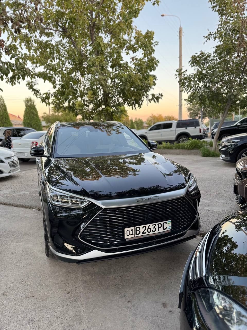 BYD yil 2024  kraskasi tozza