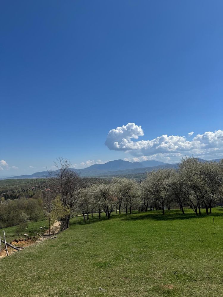Teren la munte Bran Predelut - Via Transilvanica