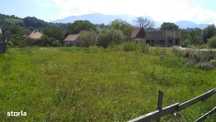 Teren de vanzare Bran