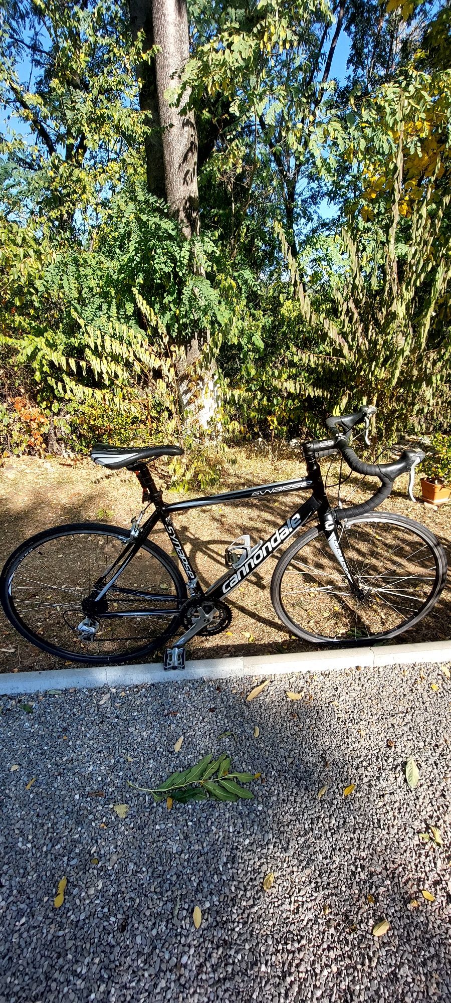 Bicicleta Cannondale Synapse