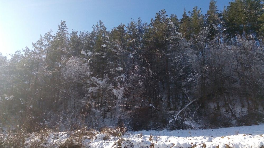 Имот в Рудозем - на първа линия по новостроящия се път Рудозем-Ксанти