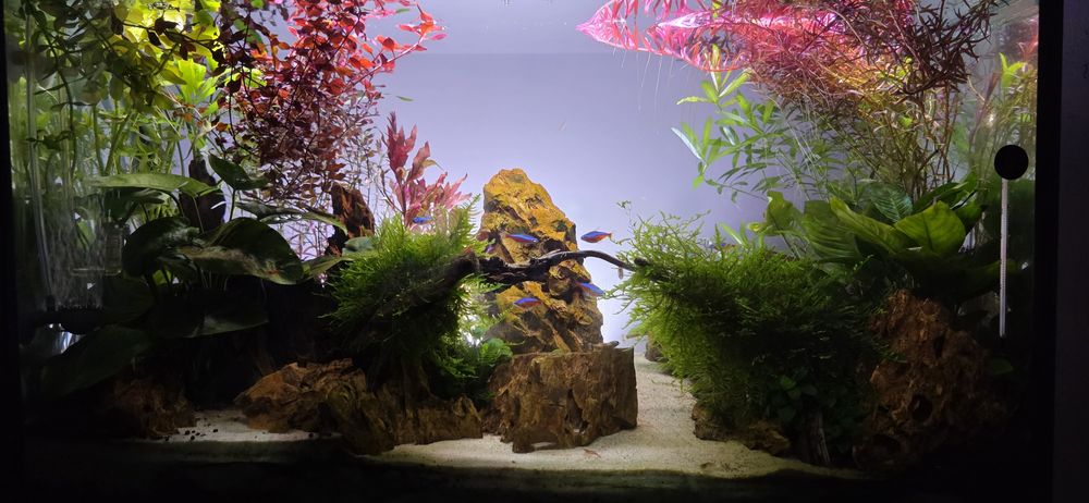 Aквариум AQUAL 83 L