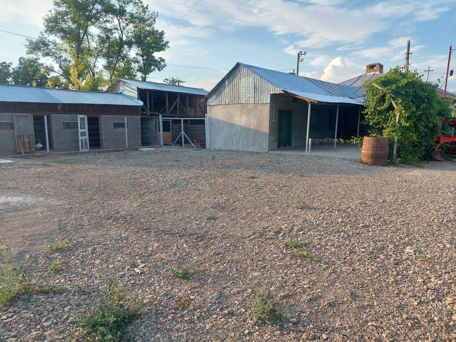 Casa de vacanta stare buna