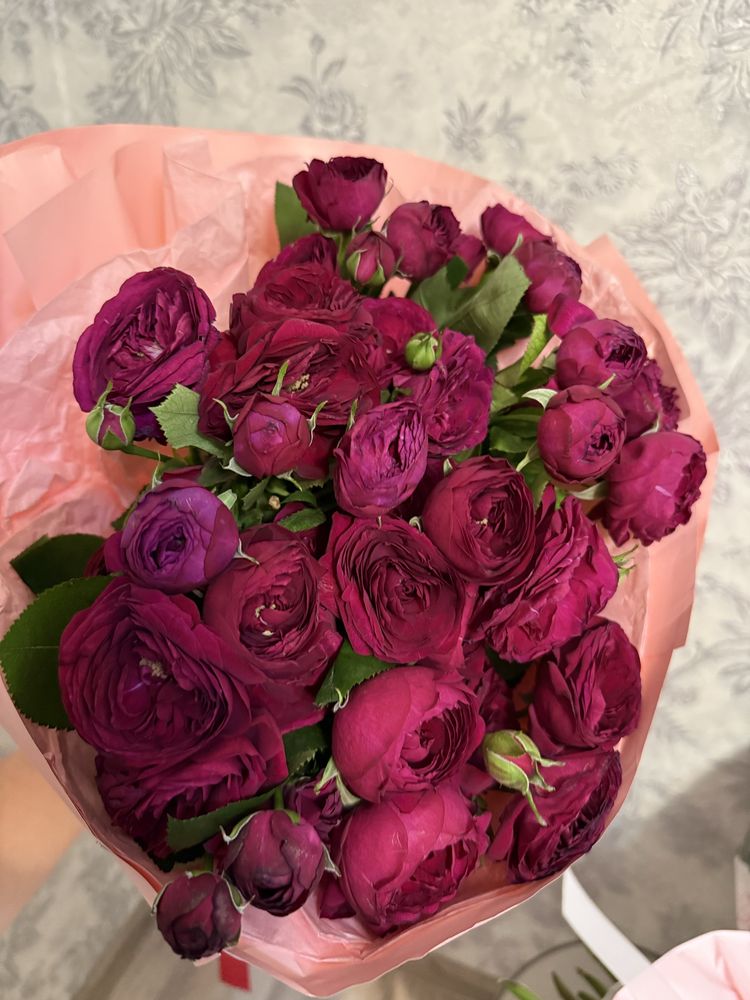 Продам цветы свежиееее