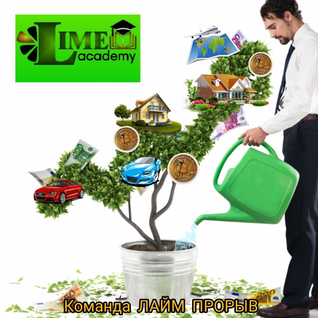Tarmoqli marketing