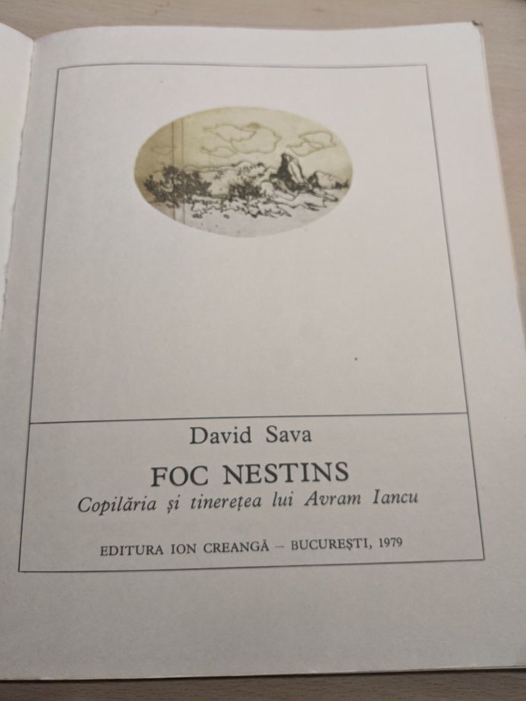 Carte David Sava - Foc nestins ( despre viața lui Avram Iancu)