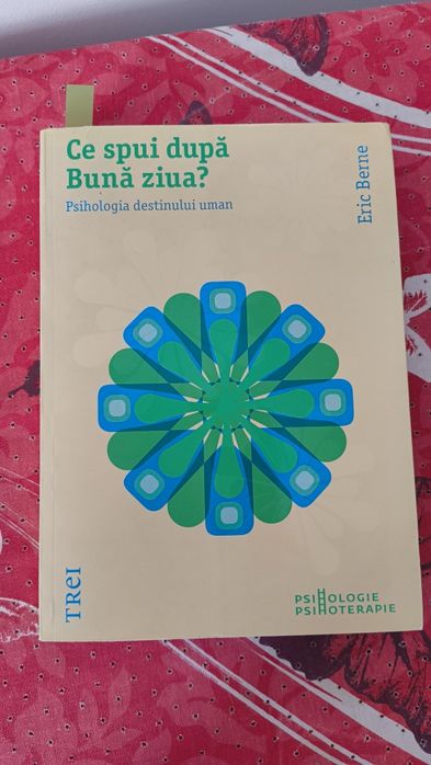 Carte Ce spunem după buna ziua