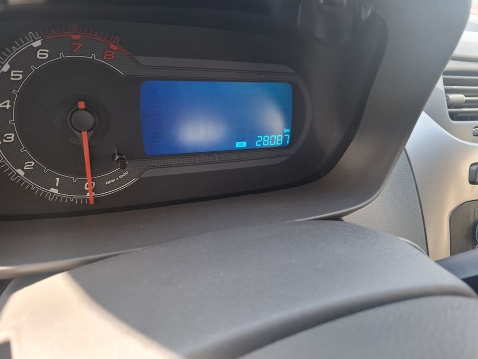 Продам кобиль 2022 викубга бераман