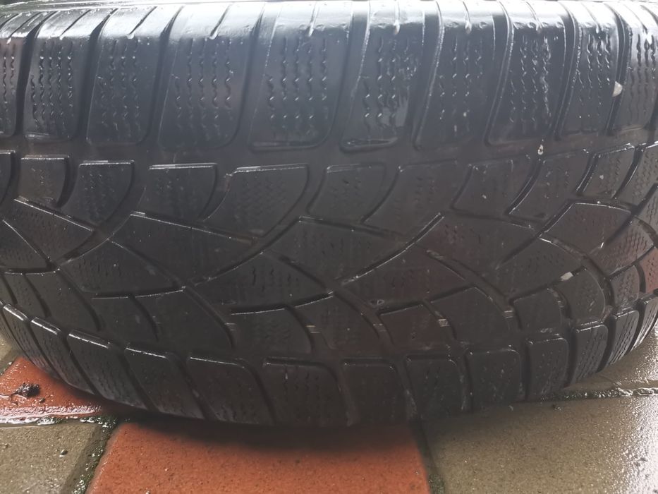 Anvelope iarna Dunlop