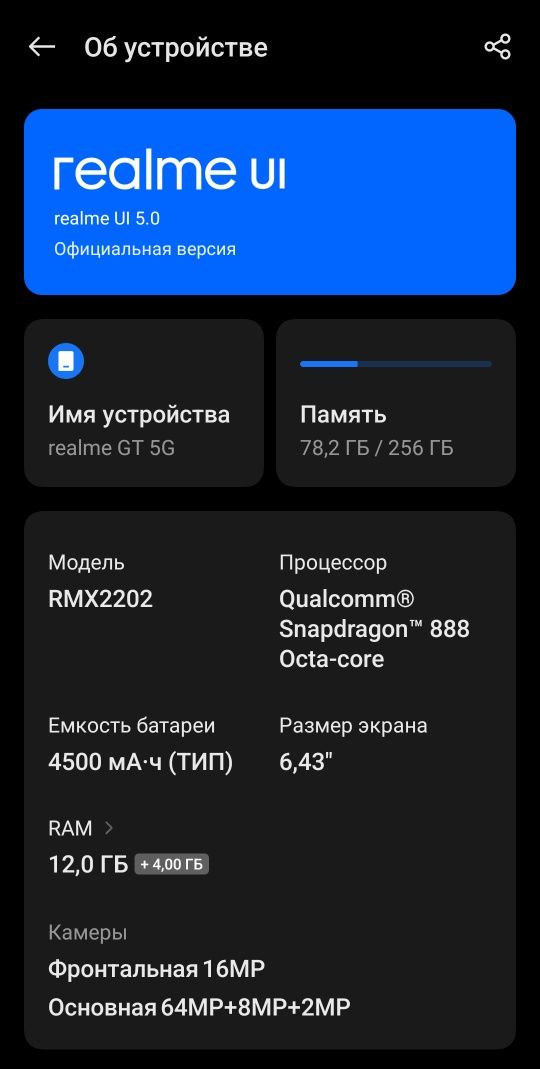 Realme GT 5G 12/256