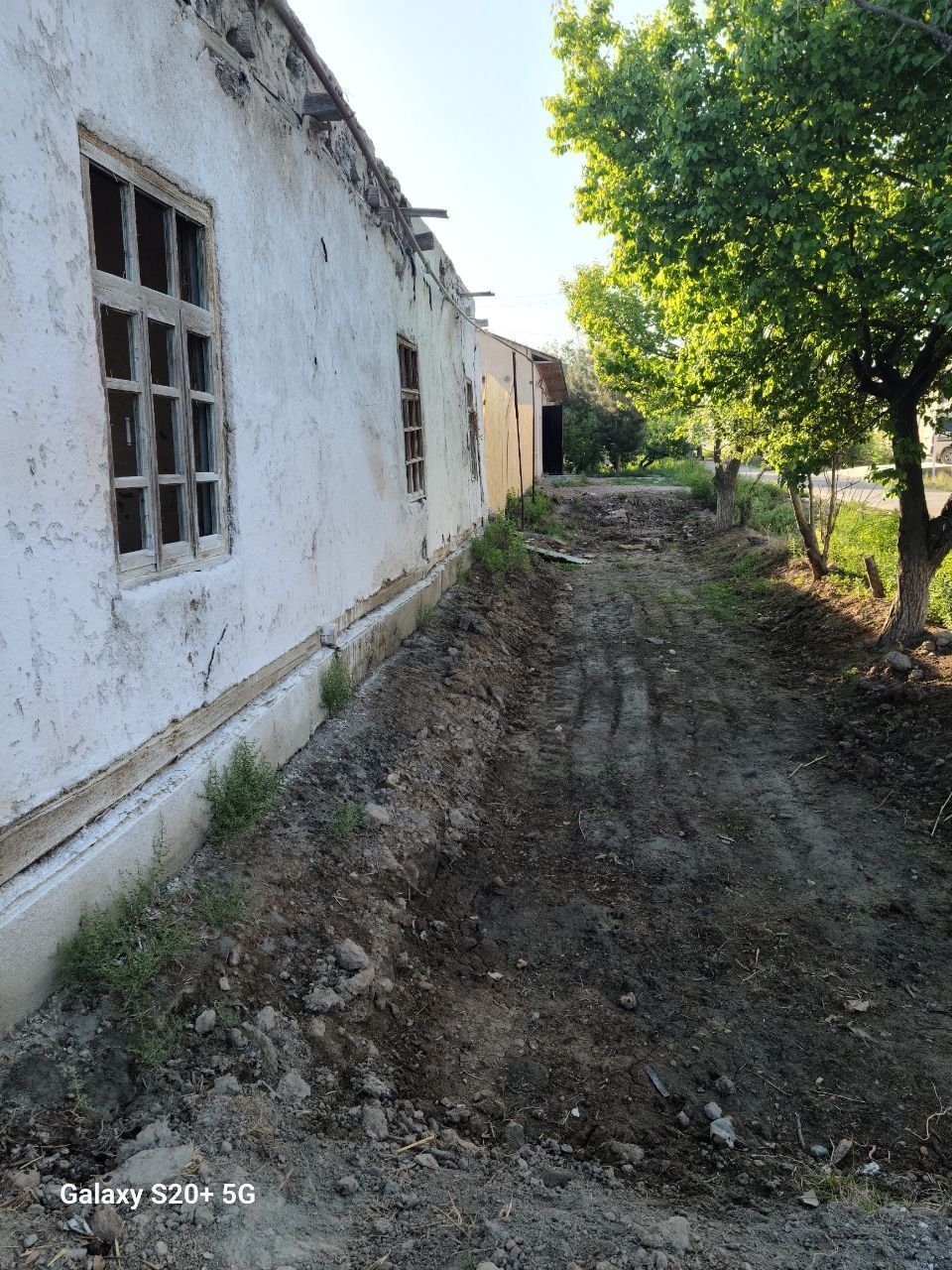 Buxoro Shahar frunze