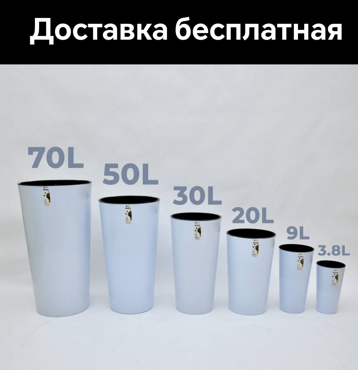 Gul Tuve tuvak garshok azalea Гул тувак горшки цветы гаршок доставка б