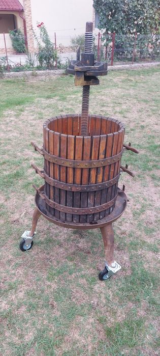 Teasc struguri 100 litrii import Italia