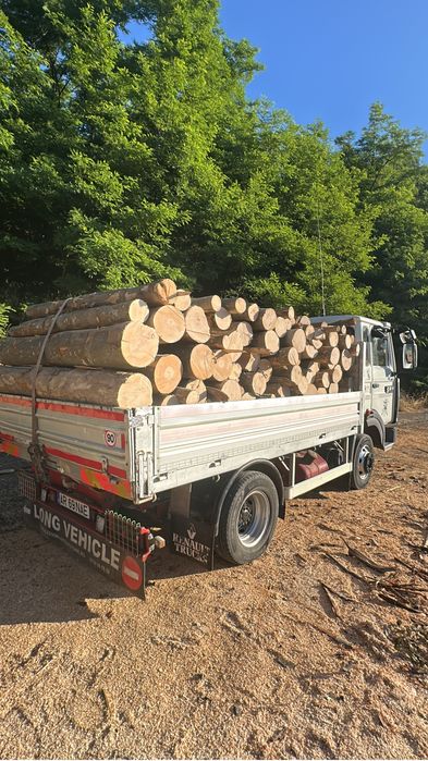 Lemne de foc esenta tare