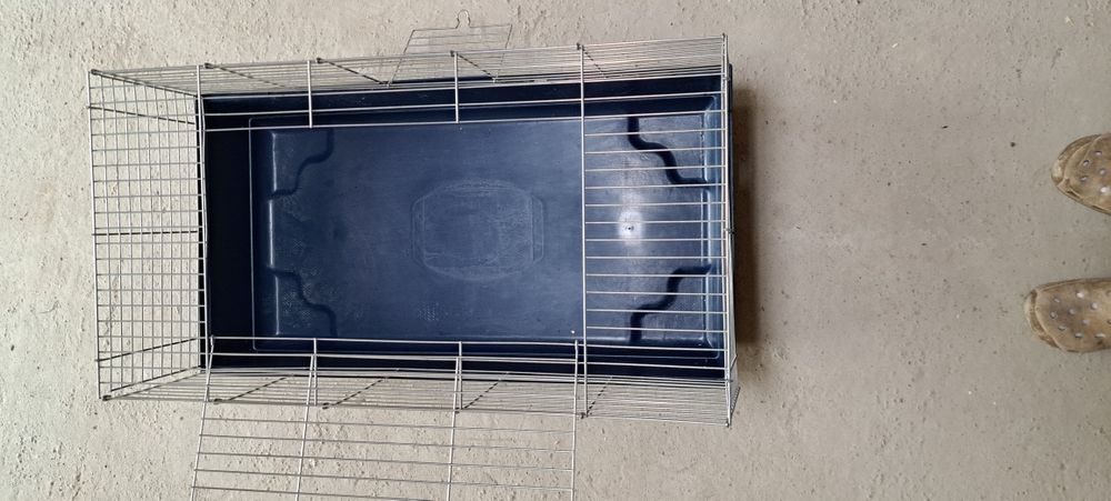 Vând cusca animale conpanie