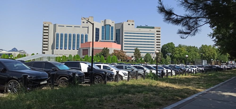 Hovli va tozalik ishlari