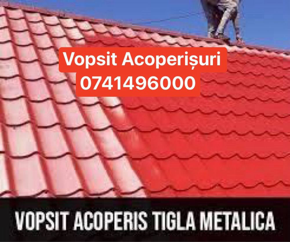 Acoperisuri si reparati sau dulgherii si vopsit acoperisuri