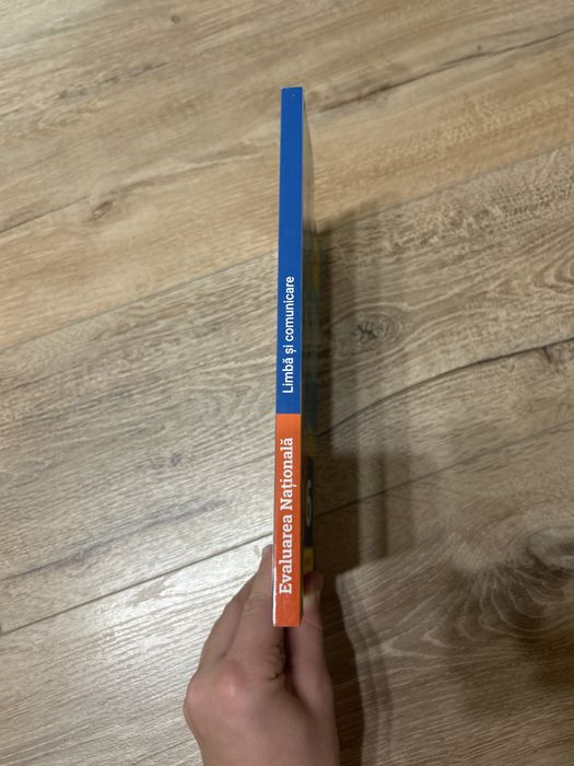 Evaluare nationala romana clasa a 6-a