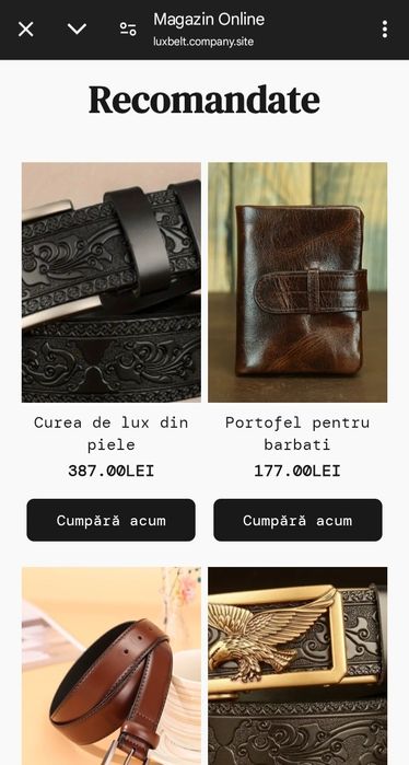 Oferim servicii de web design , facem site uri și magazine online