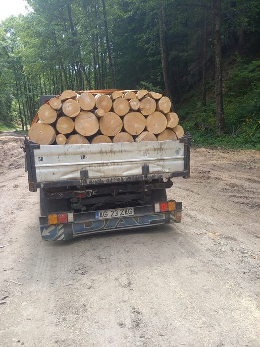 Vind  lemne esenta tare fag stejar salcim