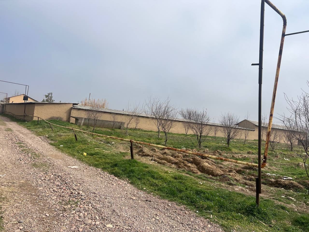 Тошкент тумани ер 15000