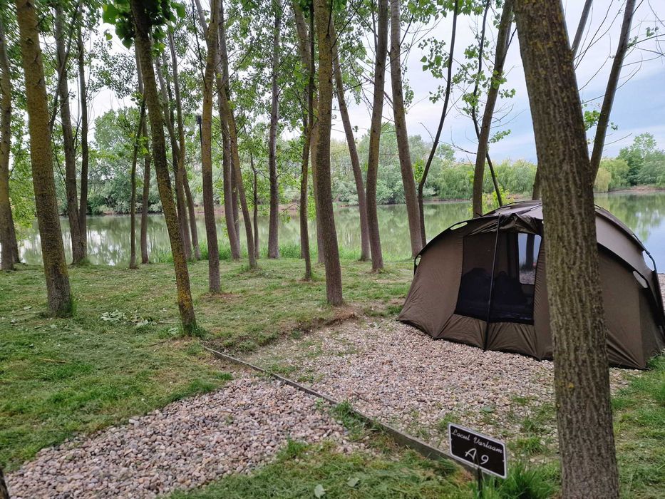 Cort Fox EOS 2-Man Bivvy + winterskin IMPECABILE