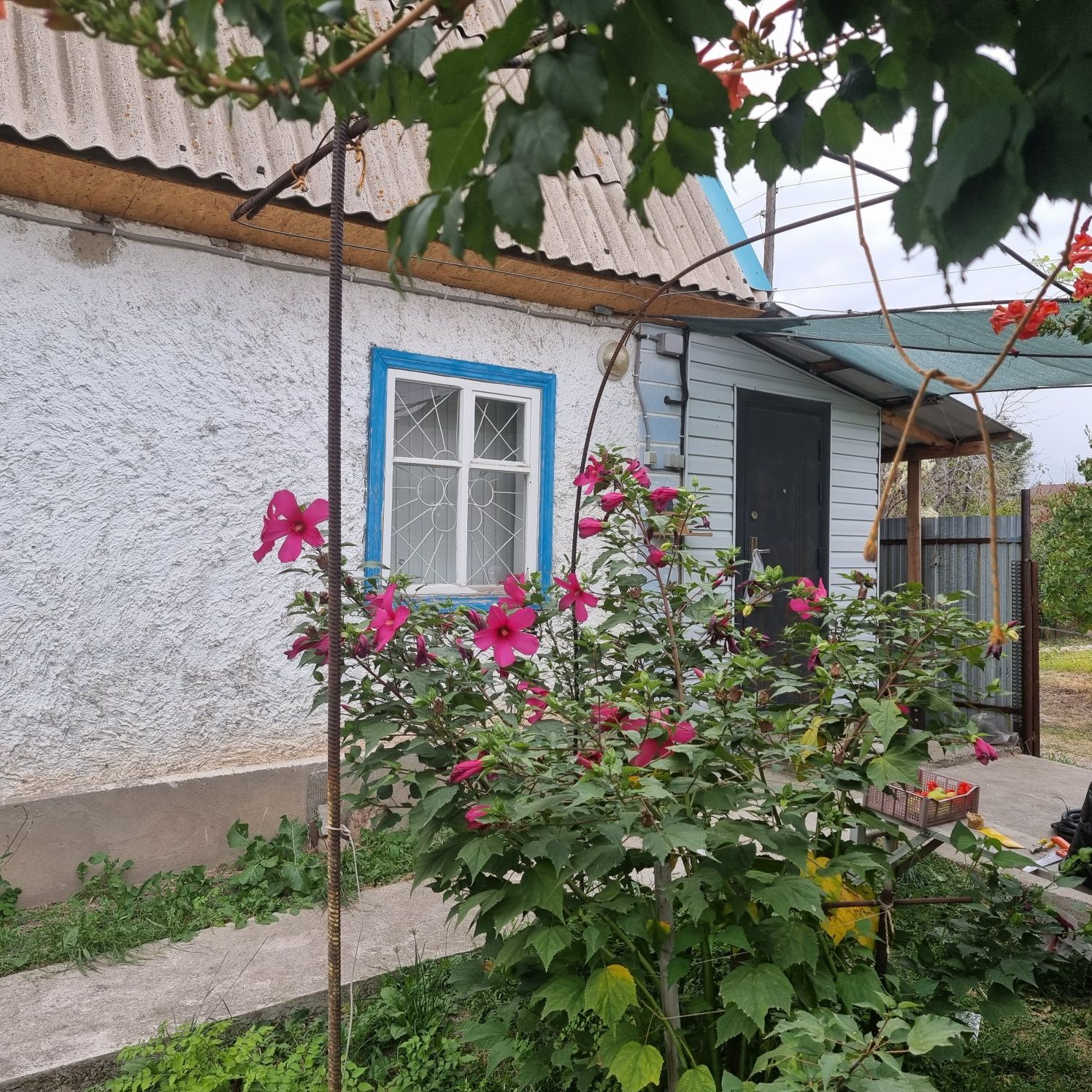 Дача 12 соток  32.7 кв.м.