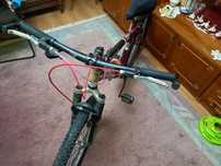 Bicicleta Neuzer