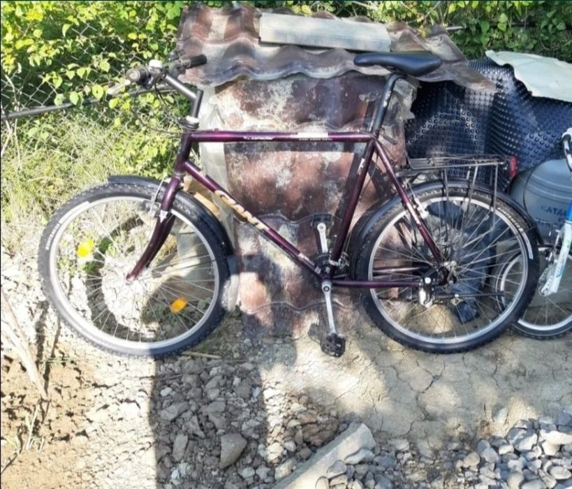 Biciclete copii adulti