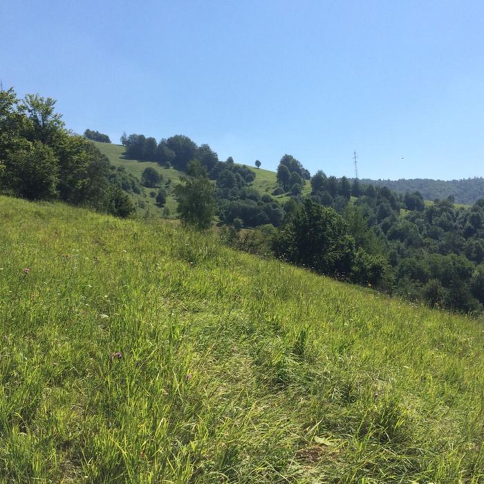 Vand teren, zona baraj Bicaz, Potoci