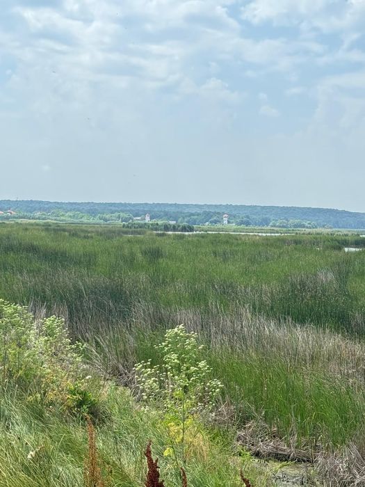 Comana- Giurgiu, teren intravilan