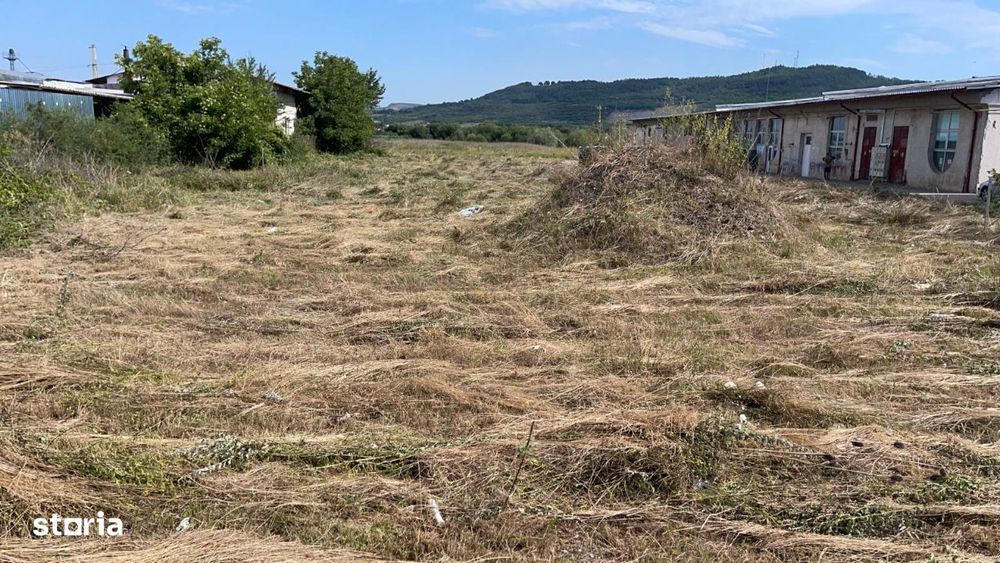 Teren intravilan de vanzare - 10.000 mp - Str. Stefan cel Mare - Sibiu