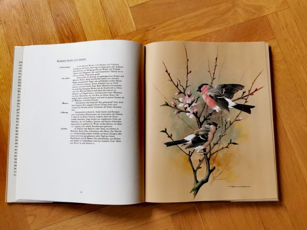 Книга за птиците Нашият красив птичи свят >36 завладяващи картини !