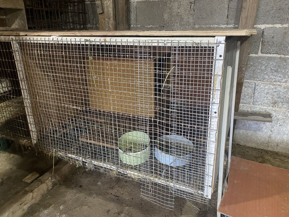 Клетки  за  зайци