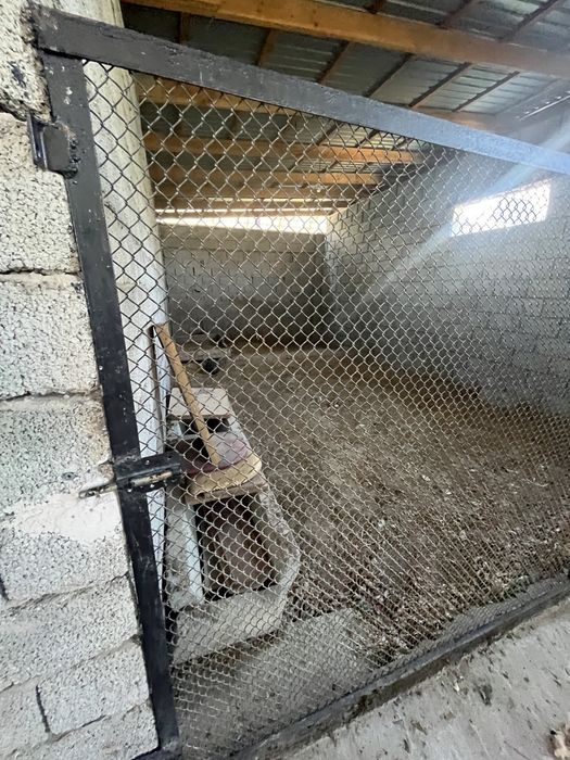 Курятник, +железная сетка как дверь