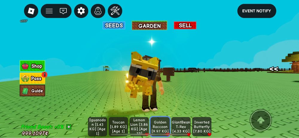 Продам петов в гаг не первый строго