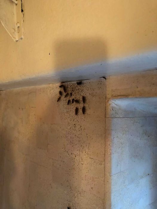 Уничтожение клопов тараканов блох  с Гарантией !24/7 Дезинфекция!