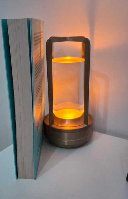 Carte Dacă Nietzsche ar fi fost un narval