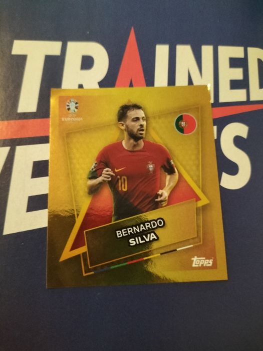 Euro 2024 topps sticker