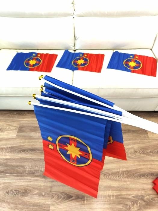 SET 3 Stegulețe FCSB 45x35 cm, Steag FCSB