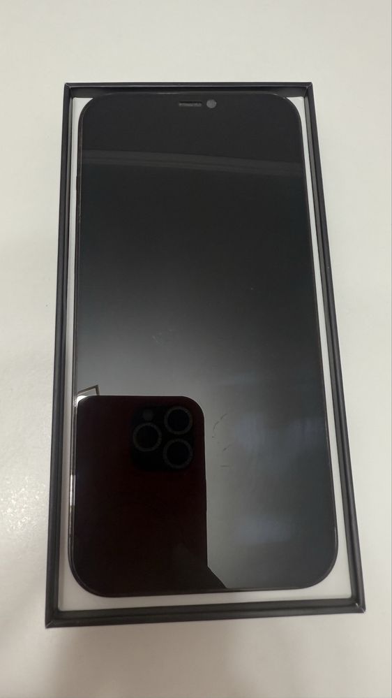 iPhone 12 pro max