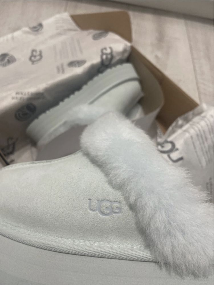 Ugg disquette NOI