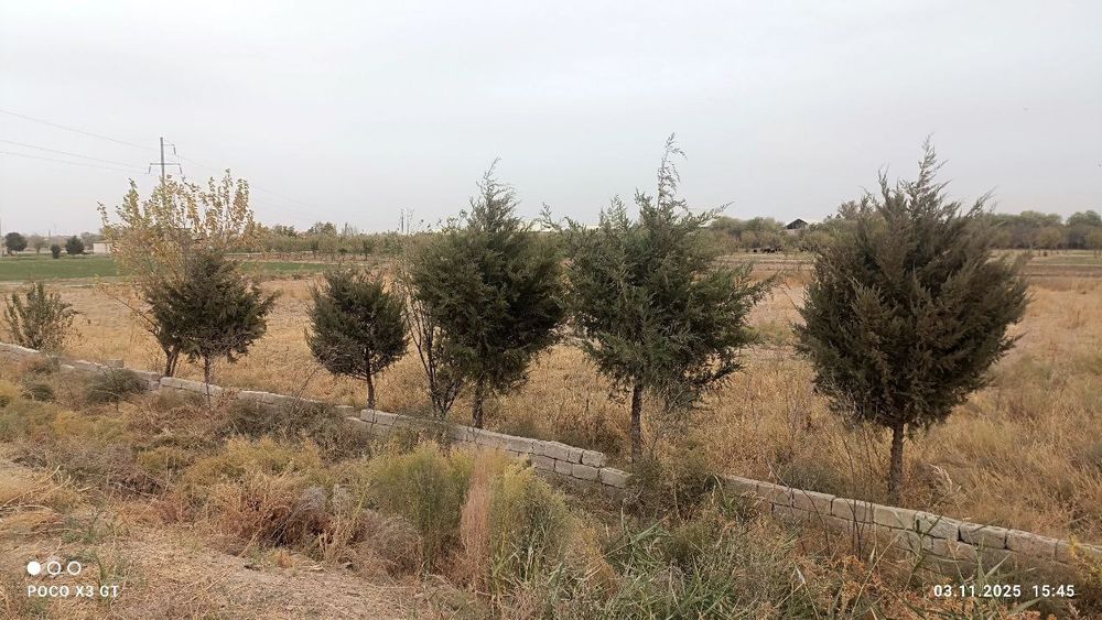 Yer sotiladi 260 million