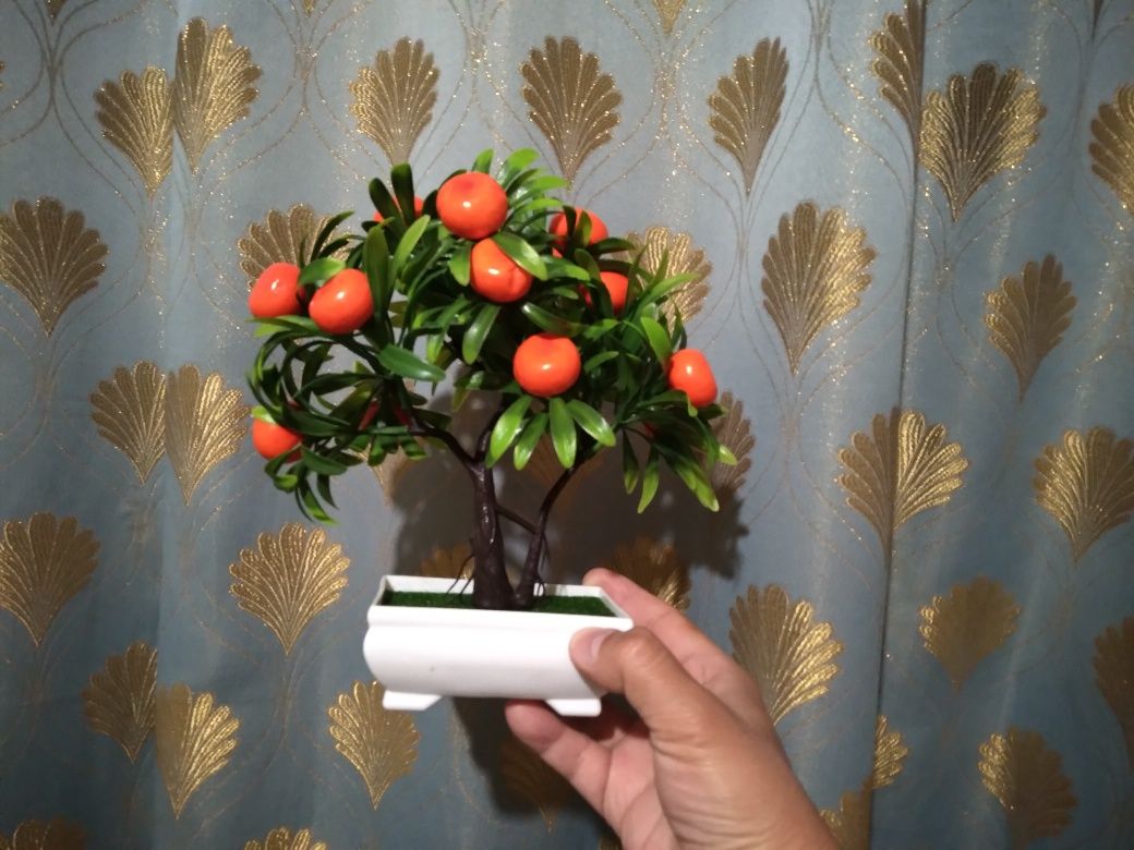 продам дерево-аппельсиновое, сувенир