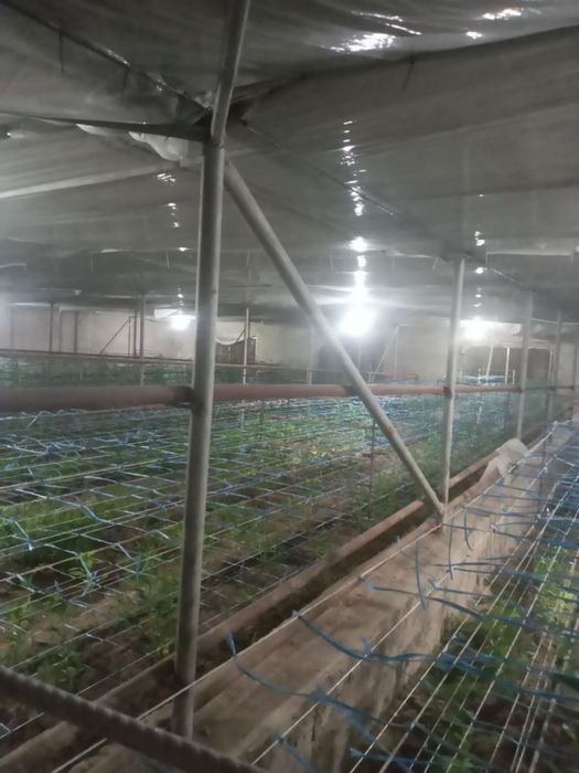 Выдается в аренду