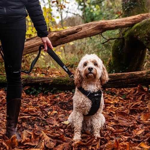 Нова каишка Универсален повод за кучета – регулируем, с колан за кола