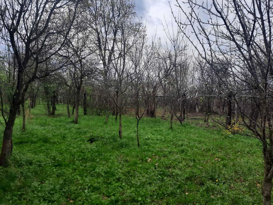 Vand 2500 mp teren intravilan cu cabanuta locuibila Prahova, utilitati