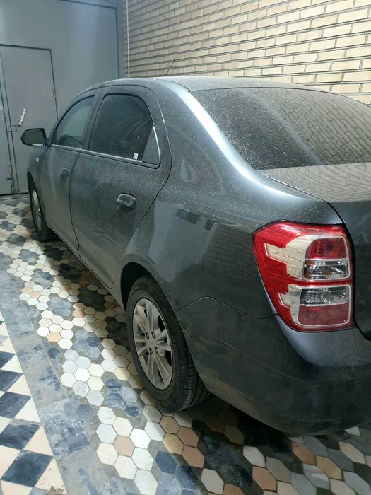 Кобольт сотаман.2023